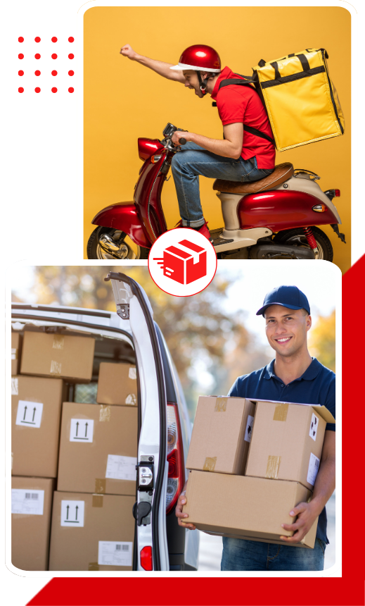 expert logistics service